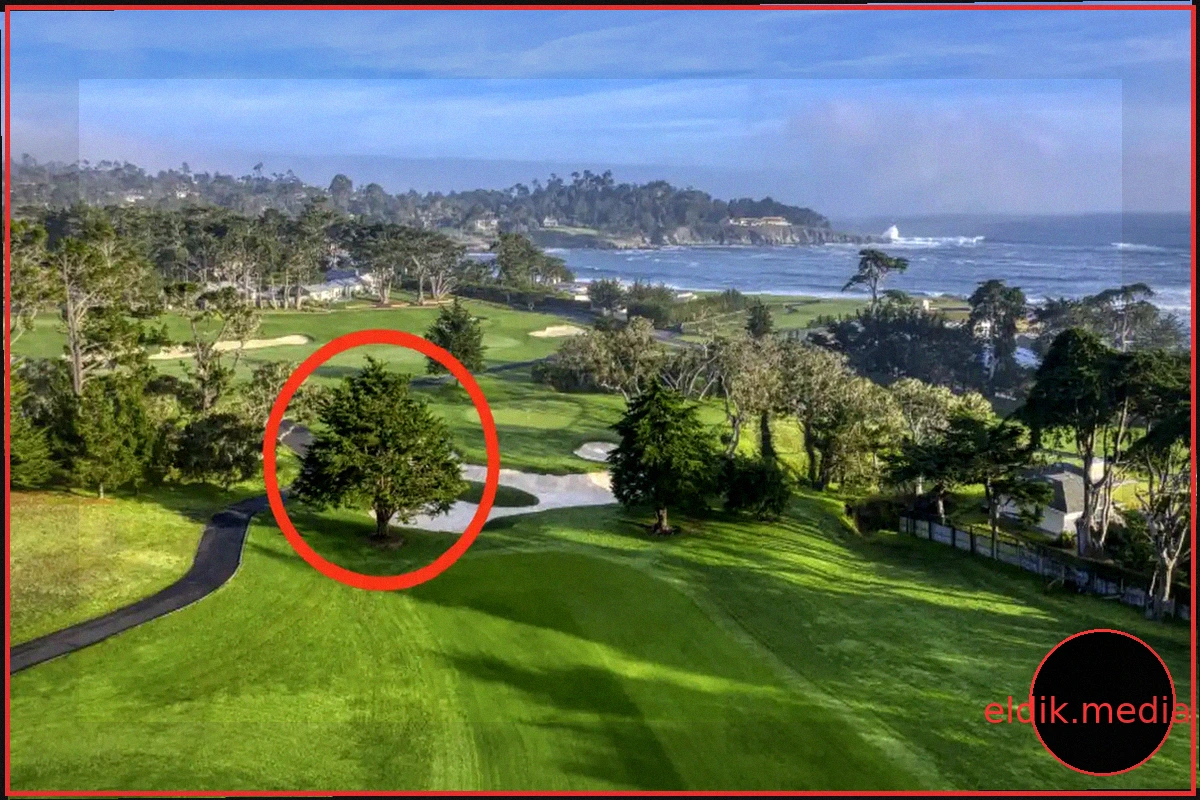 Pebble Beach гольф аянтындагы дарактын алынышы: сын-пикирлер жана чындык